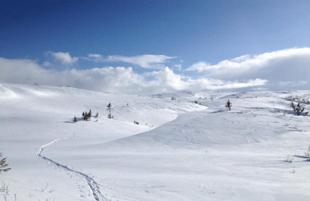 Ski tracks