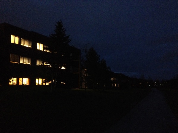 Moholt in November