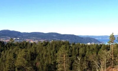 View from Estenstadmarka