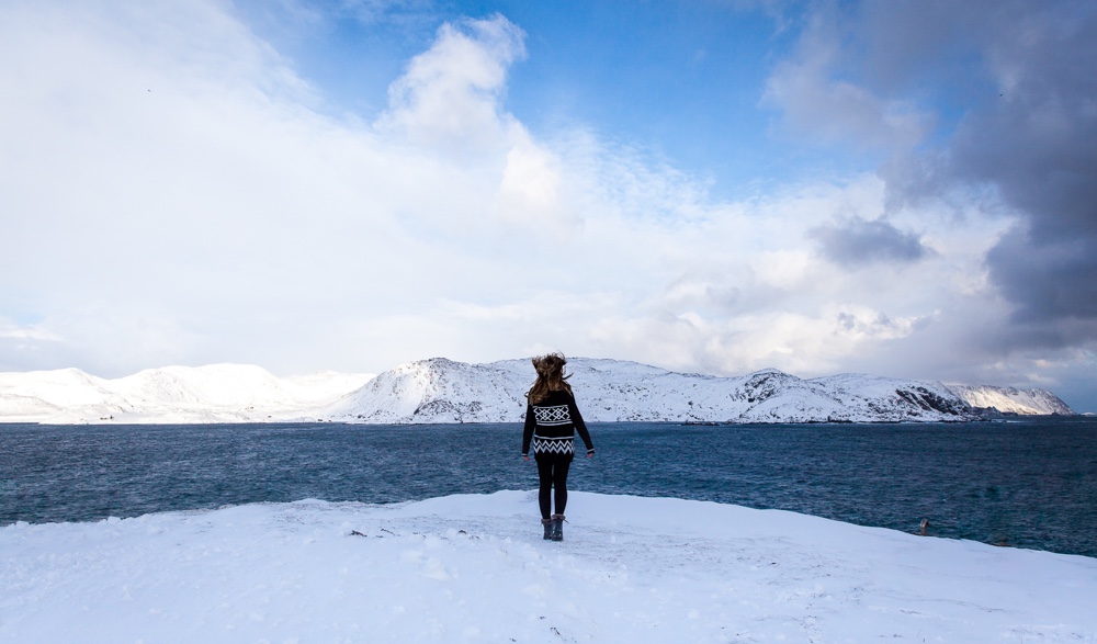 Windswept fjord