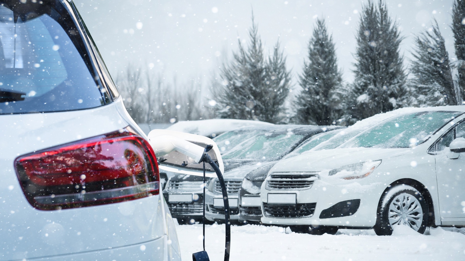 Electric cars parked in Norway winter.
