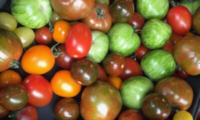Summer food in Oslo