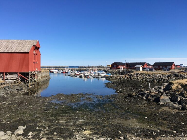 Shoreline in Andenes, Vesterålen. Photo: David Nikel.
