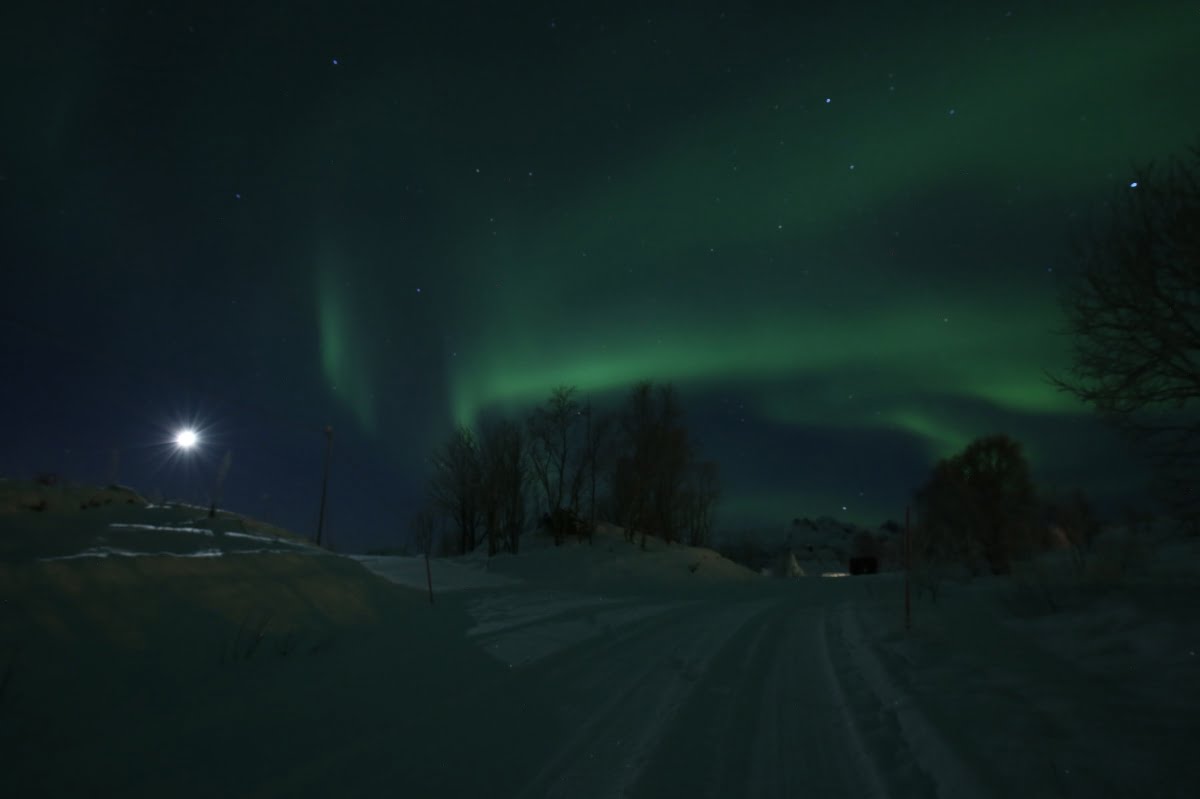 Polar night northern lights