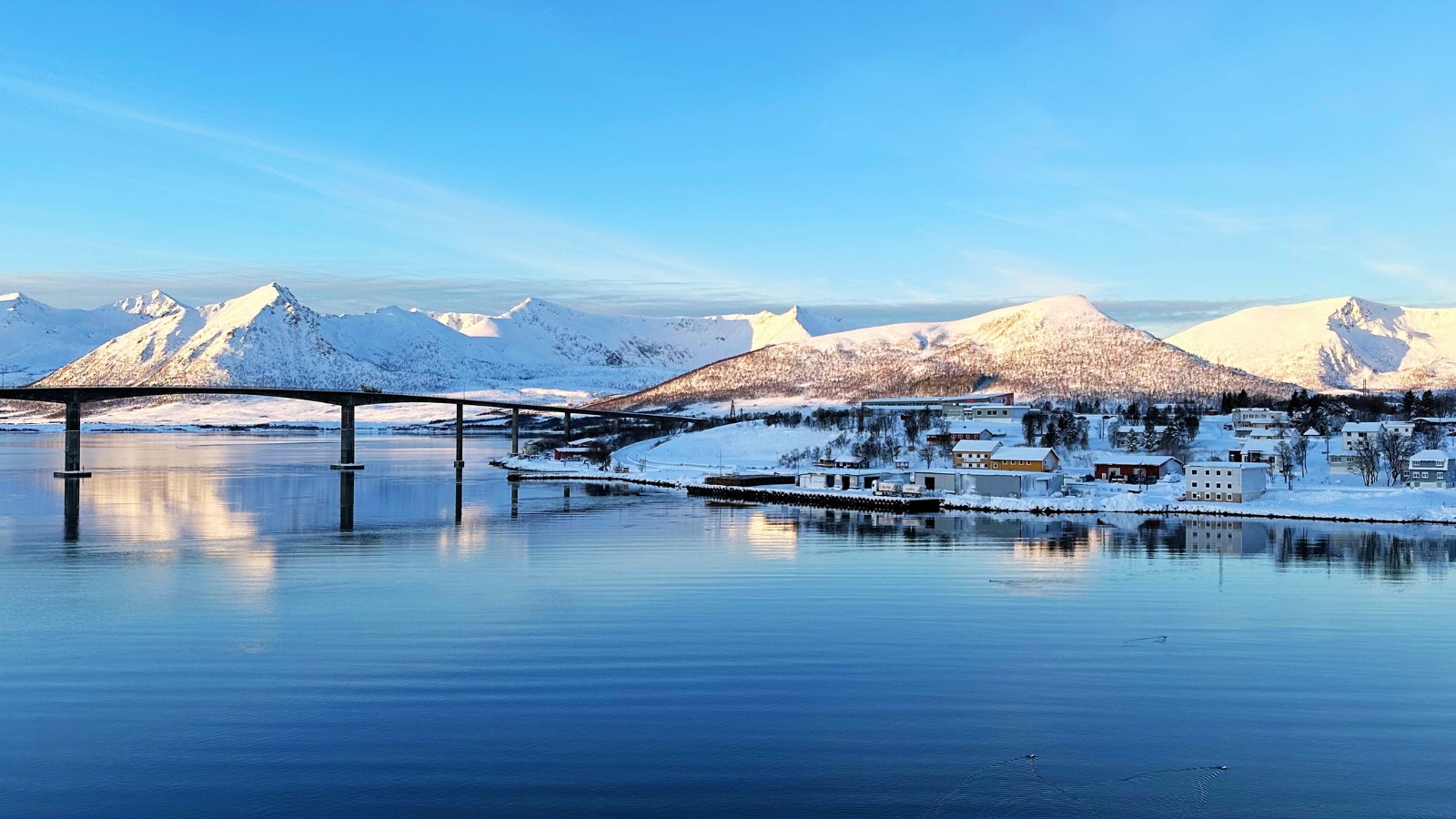 Norway's coastline and bridge. Photo: David Nikel.