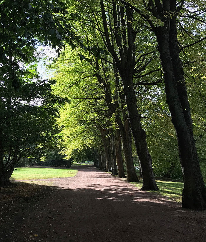 Green park in the centre of Malmö