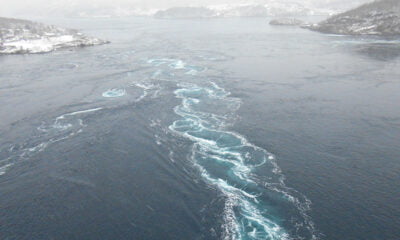 A visit to snowy Saltstraumen near Bodø, Norway