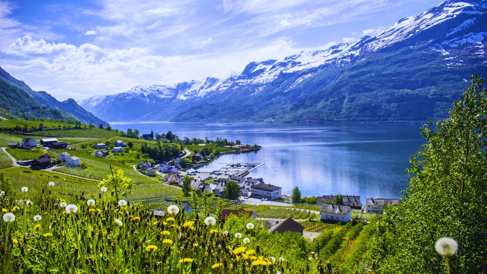 The Hardangerfjord in the spring.