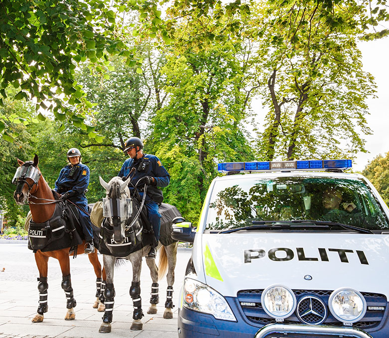 Oslo police car and horse