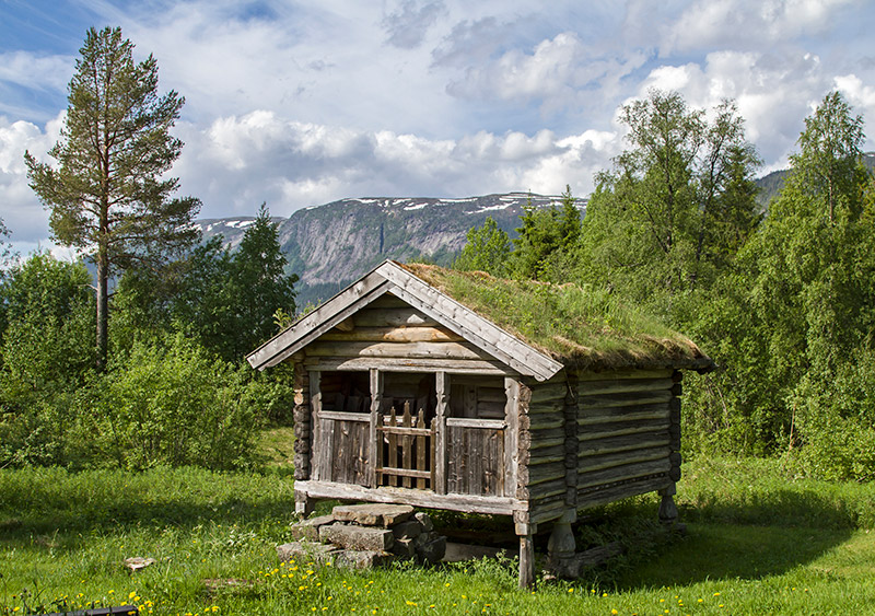 Cabin in the forest of Telemark Norway Cabin in the forest of Telemark Norway