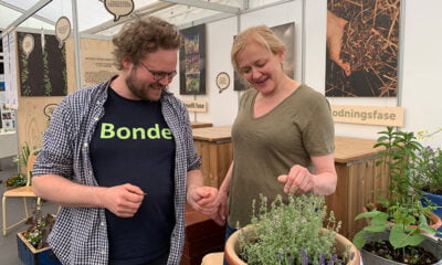 Sustainable food in Norway