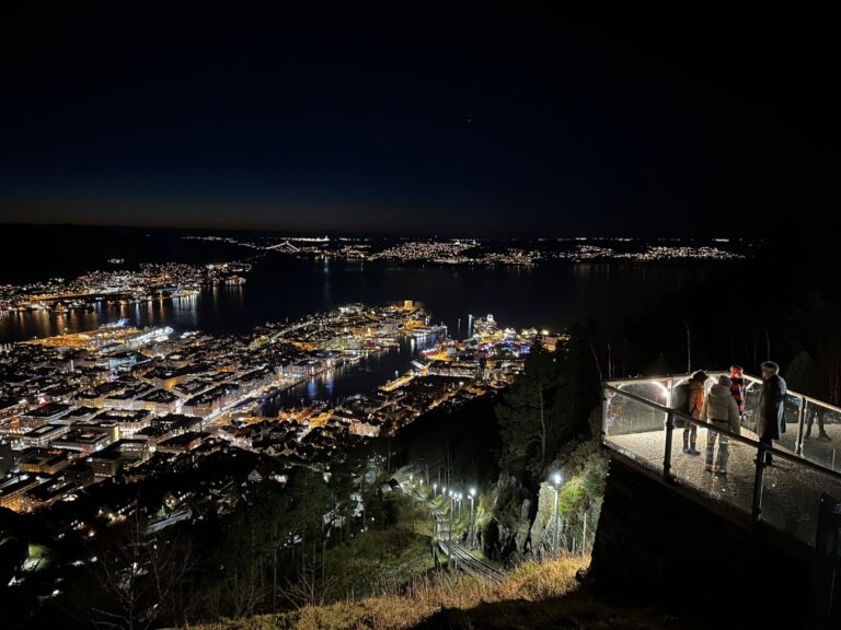 The view from Fløyen at night. Photo: David Nikel.
