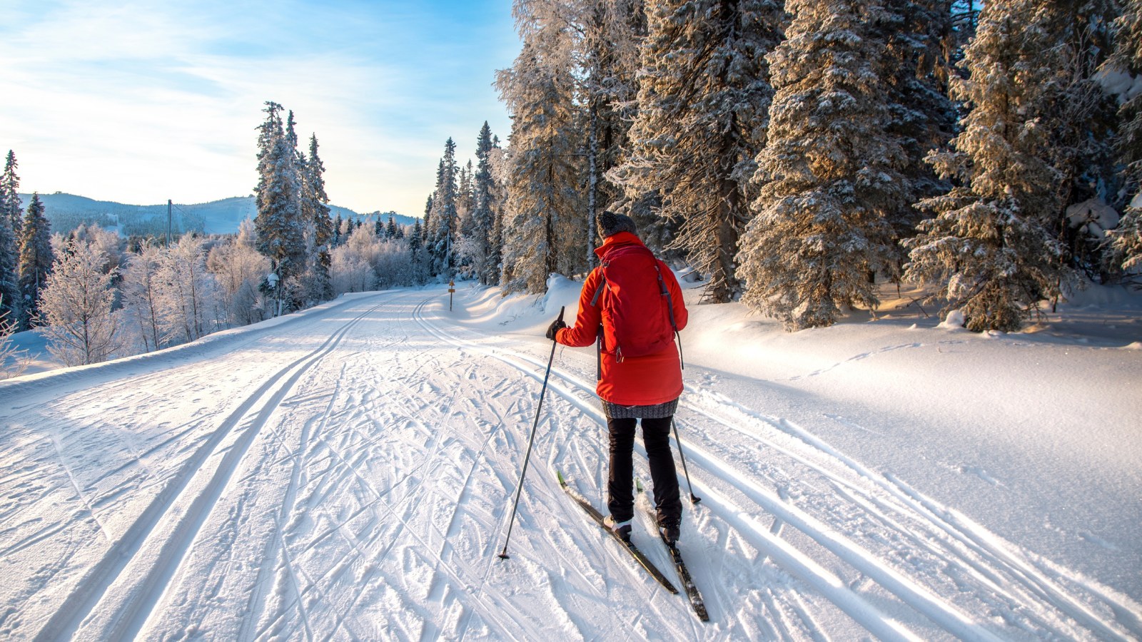 Cross-country skier out in nature.