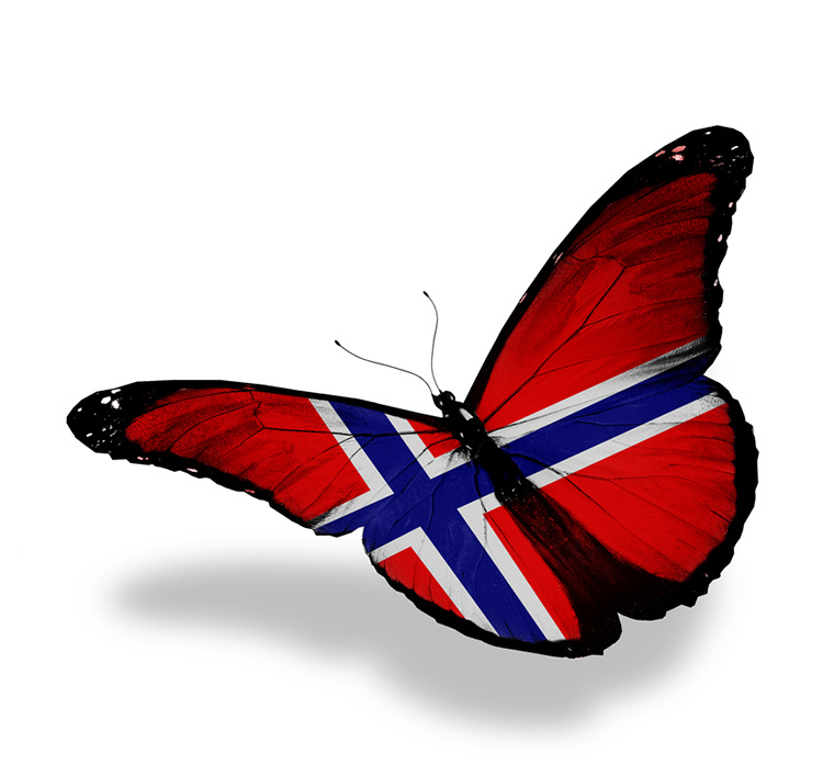 Butterfly featuring the Norwegian flag