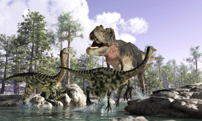 An illustration of how dinosaurs in Scandinavia may have looked