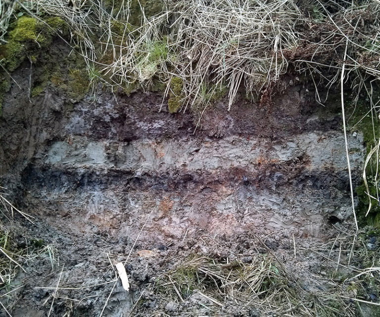 Storegga tsunami deposits (grey upper layer), bracketed by peat (dark brown layers), taken at Maryton on the Montrose Basin, Scotland