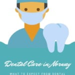 Dental Care in Norway Pin