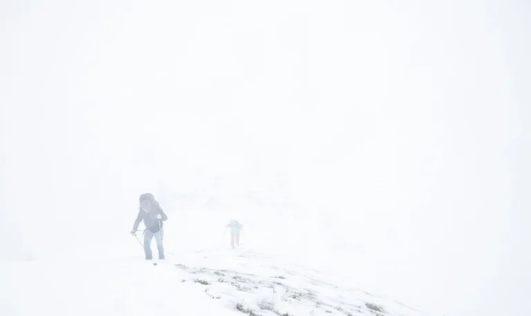 Arctic winter storm in Northern Norway