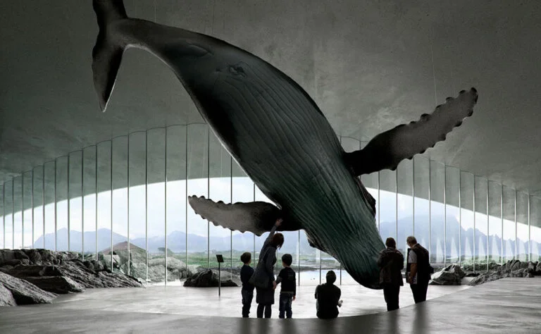 The Whale. Renderings by Mir, Bergen.