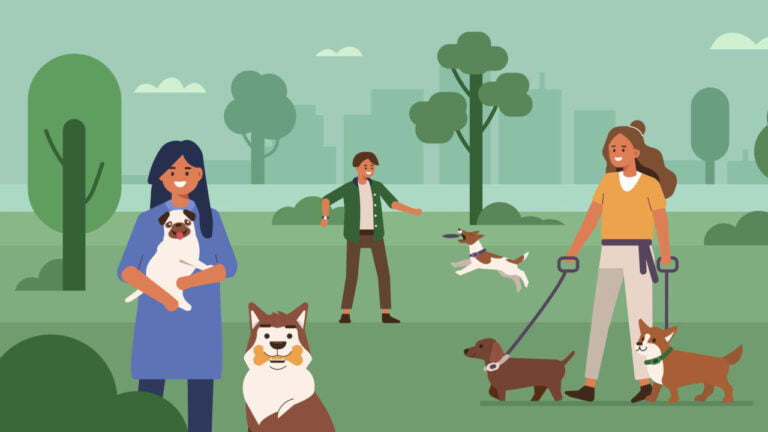 Norwegian dog park culture image