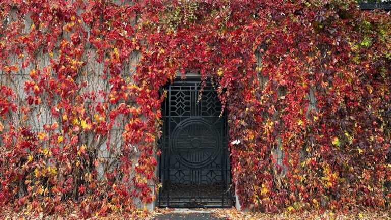 Red and yellow leaves surrounding a gate in Vigeland Park.