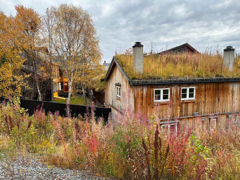 Behind the Vertshuset Hotel in Røros, Norway.