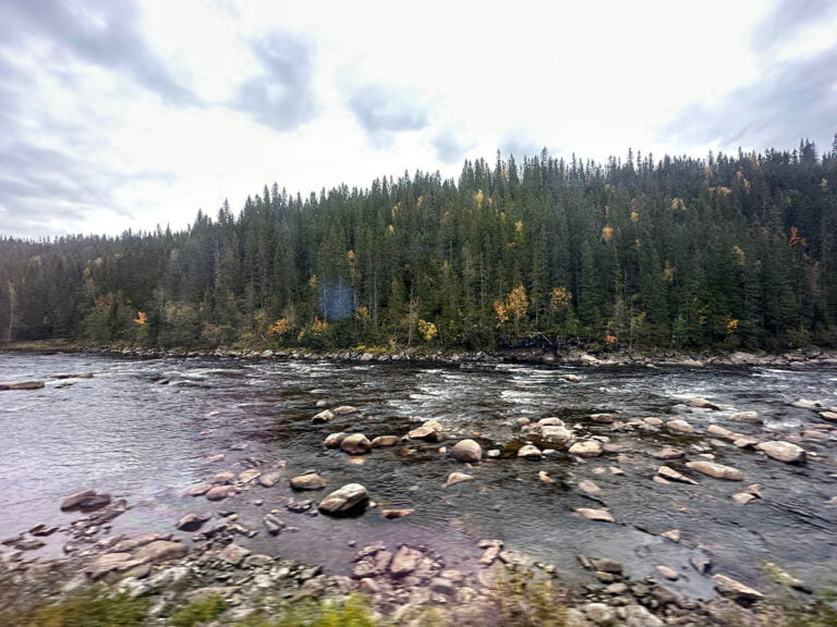 View from the Røros line train.