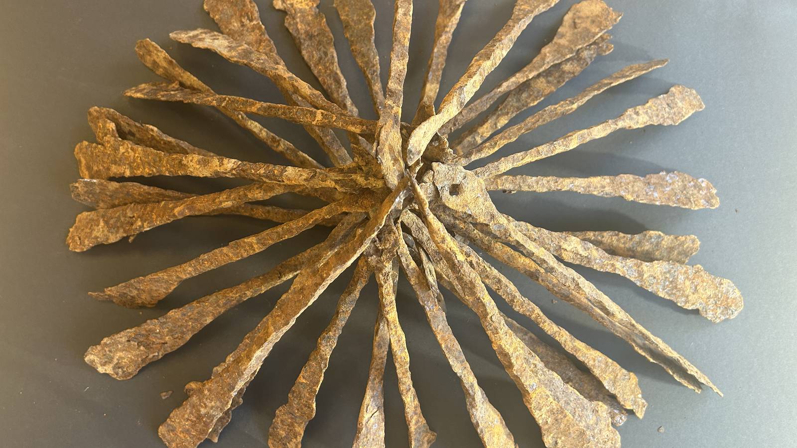 These iron bars were likely used as a means of payment both in the Iron Age and the Middle Ages. They are made of iron from Valdres, and all are cast in the same shape. Photo: Mildri Een Eide / Innlandet Fylkeskommune.