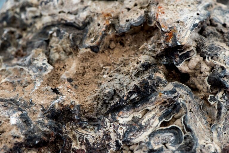 Phosphate rock.