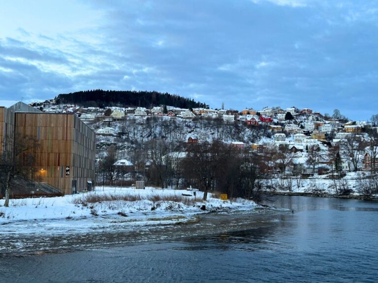 Nidelva river in the winter. Photo: David Nikel.