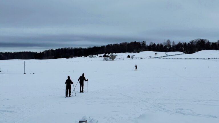 Cross-country skiers in Norway. Photo: David Nikel.