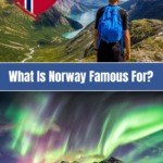Norway Famous Pin