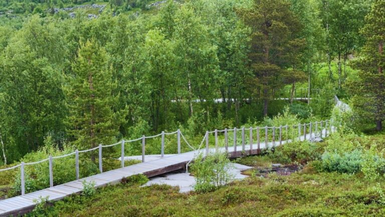 Hiking trail at Alta Museum. Photo: David Nikel.