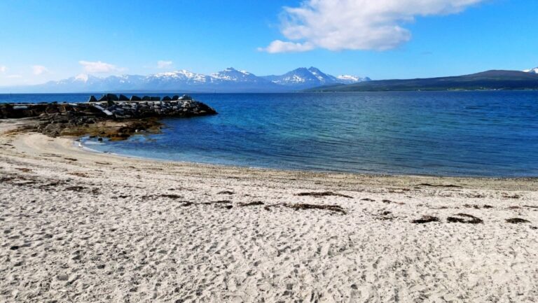 Beach at Telegrafbukta in Tromsø. Photo: David Nikel.