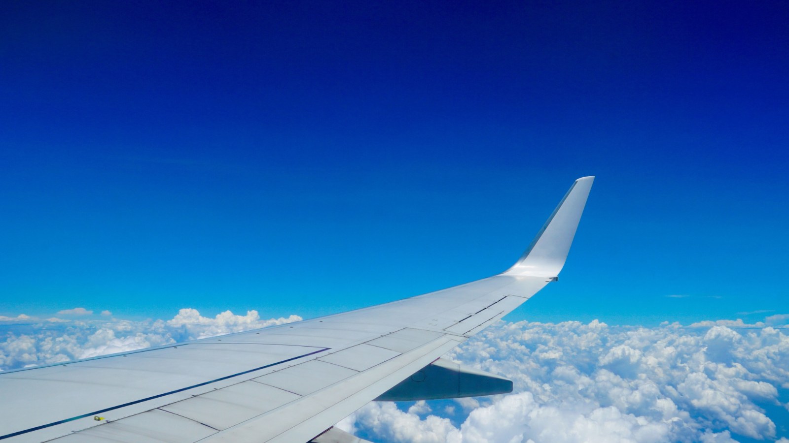 Aircraft wing.