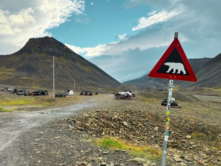 Polar bear warning sign in Nybyen, the southern part of Longyearbyen. Photo: David Nikel.