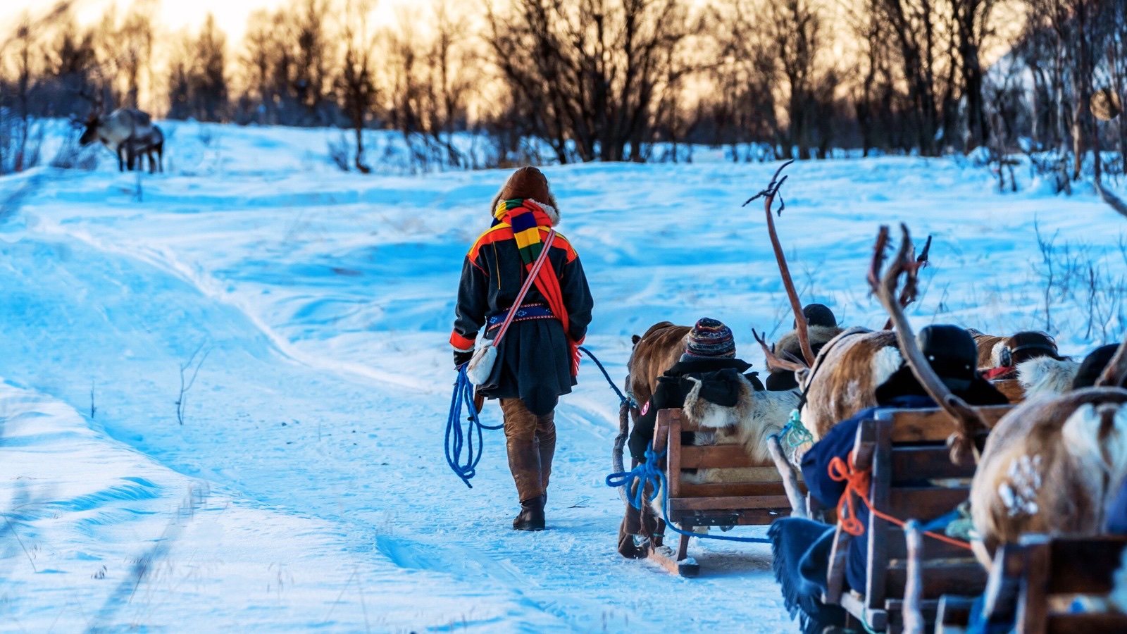 Sami person with reindeer in tourist site of Norway.