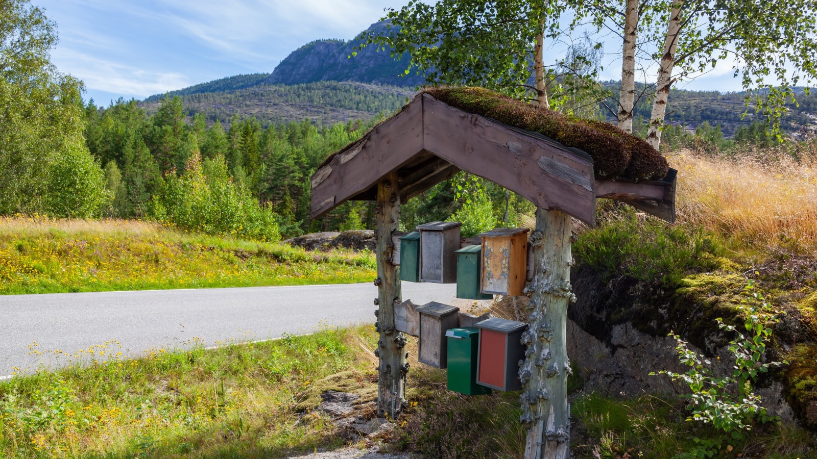 Roadside mailboxes in Norway.