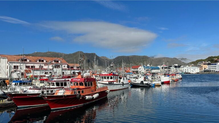 Honningsvåg harbour in the summer. Photo: David Nikel.